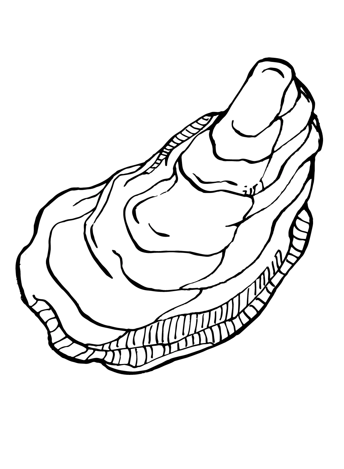 Oyster Coloring Pages