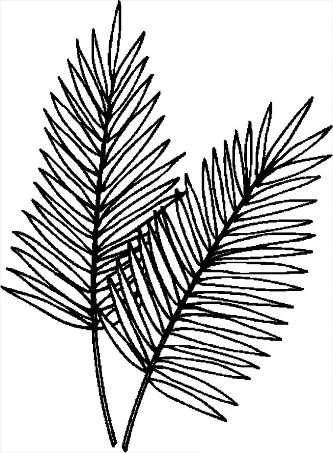 Palm Sunday Coloring Pages