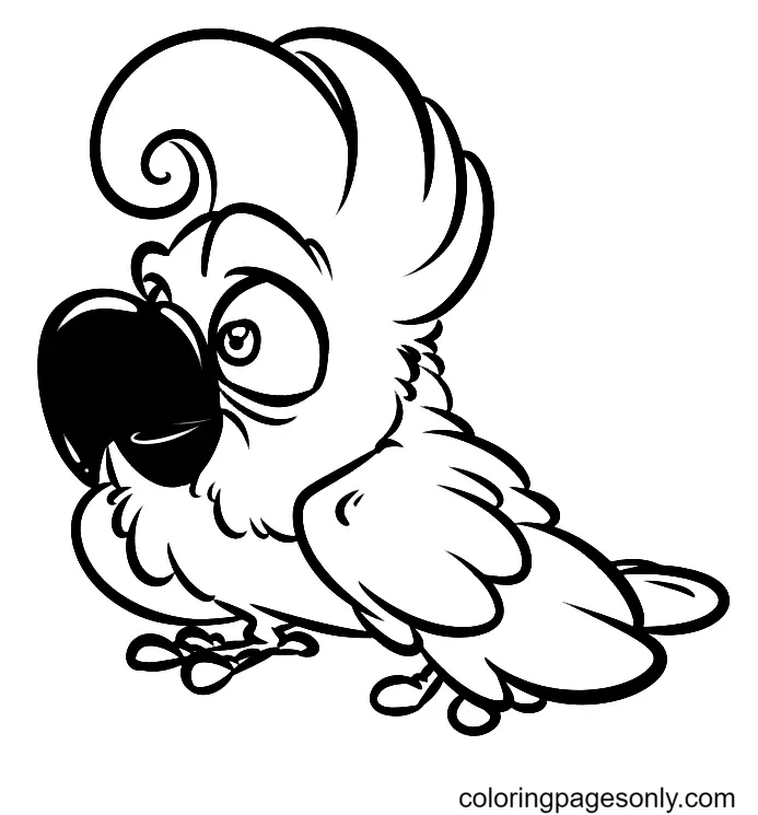 Parrot Coloring Pages