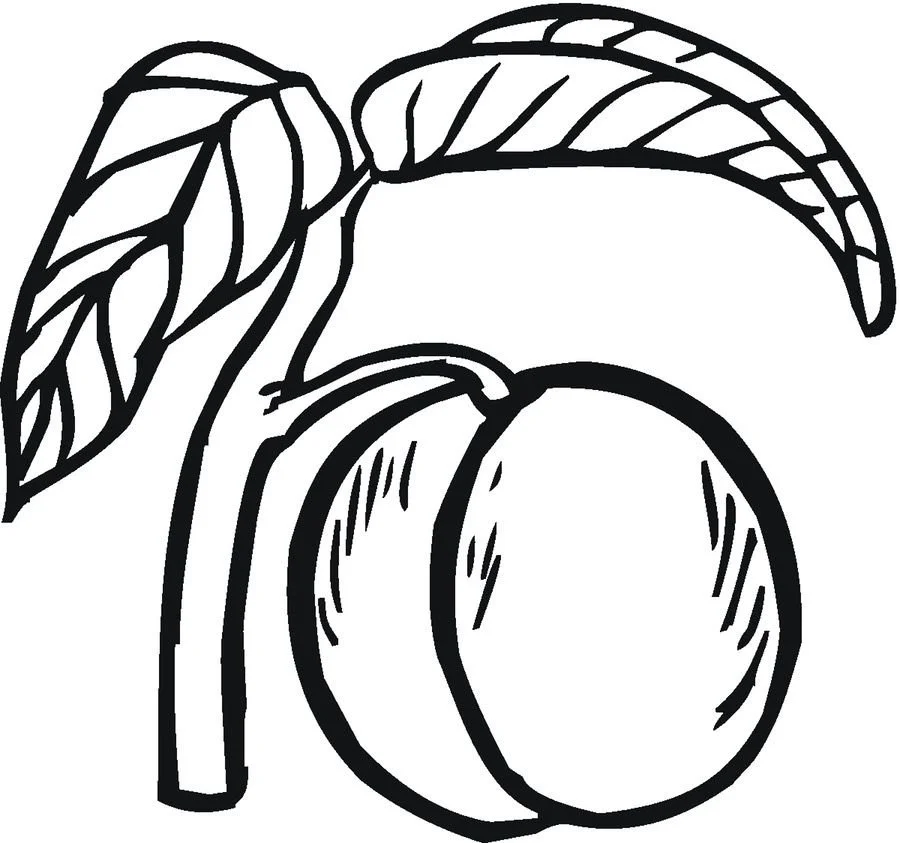 Peach Coloring Pages