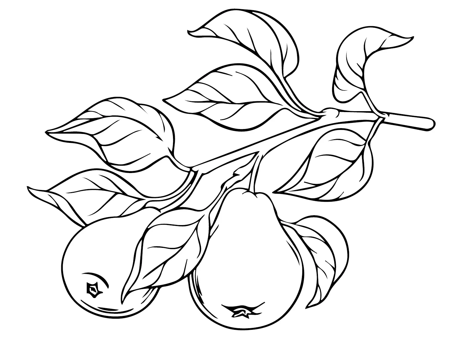 Pears Coloring Pages