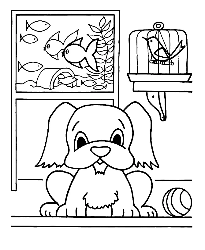 Pets Coloring Pages