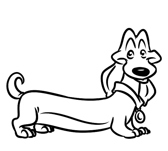 Pets Coloring Pages