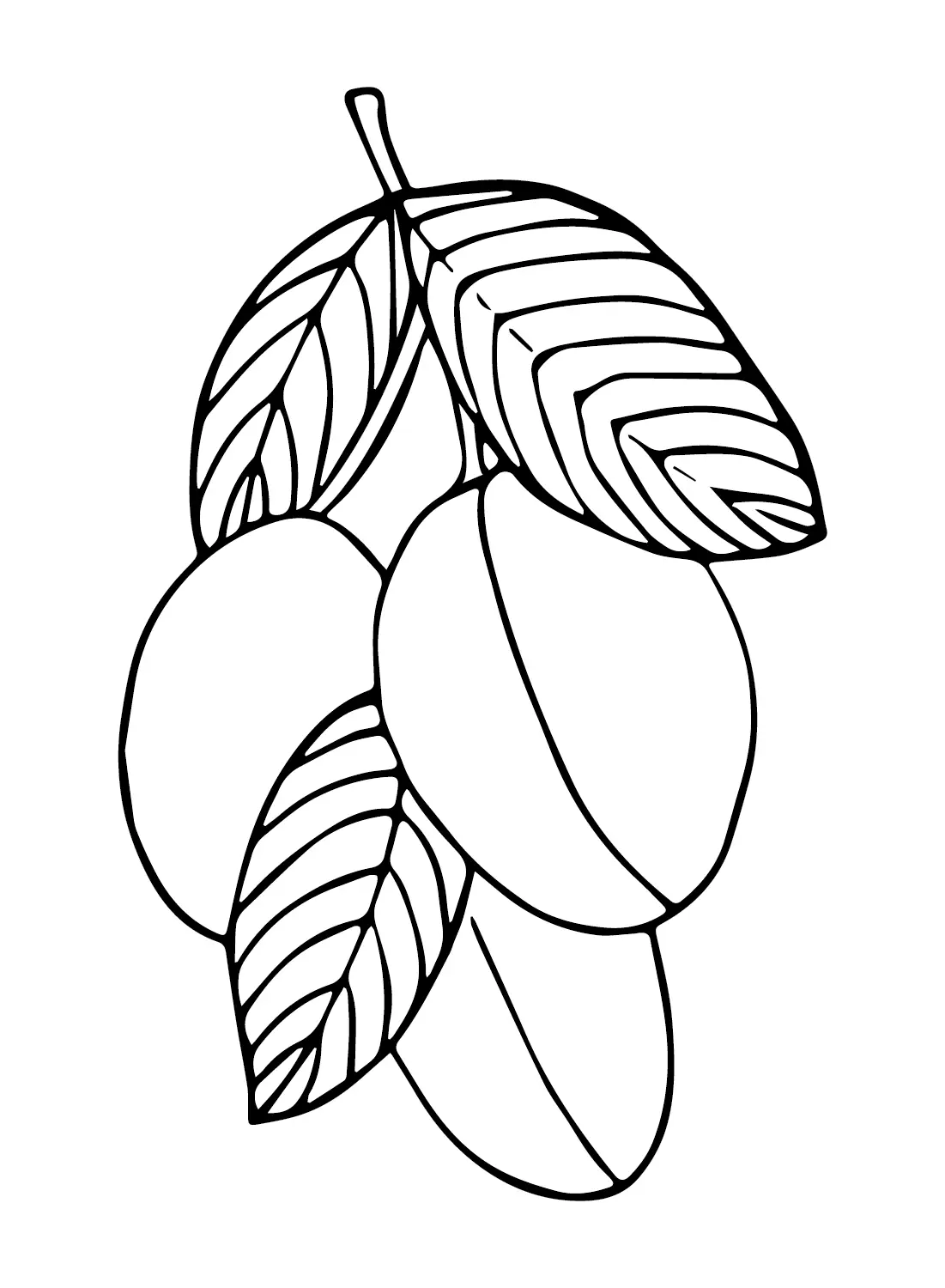 Plums Coloring Pages