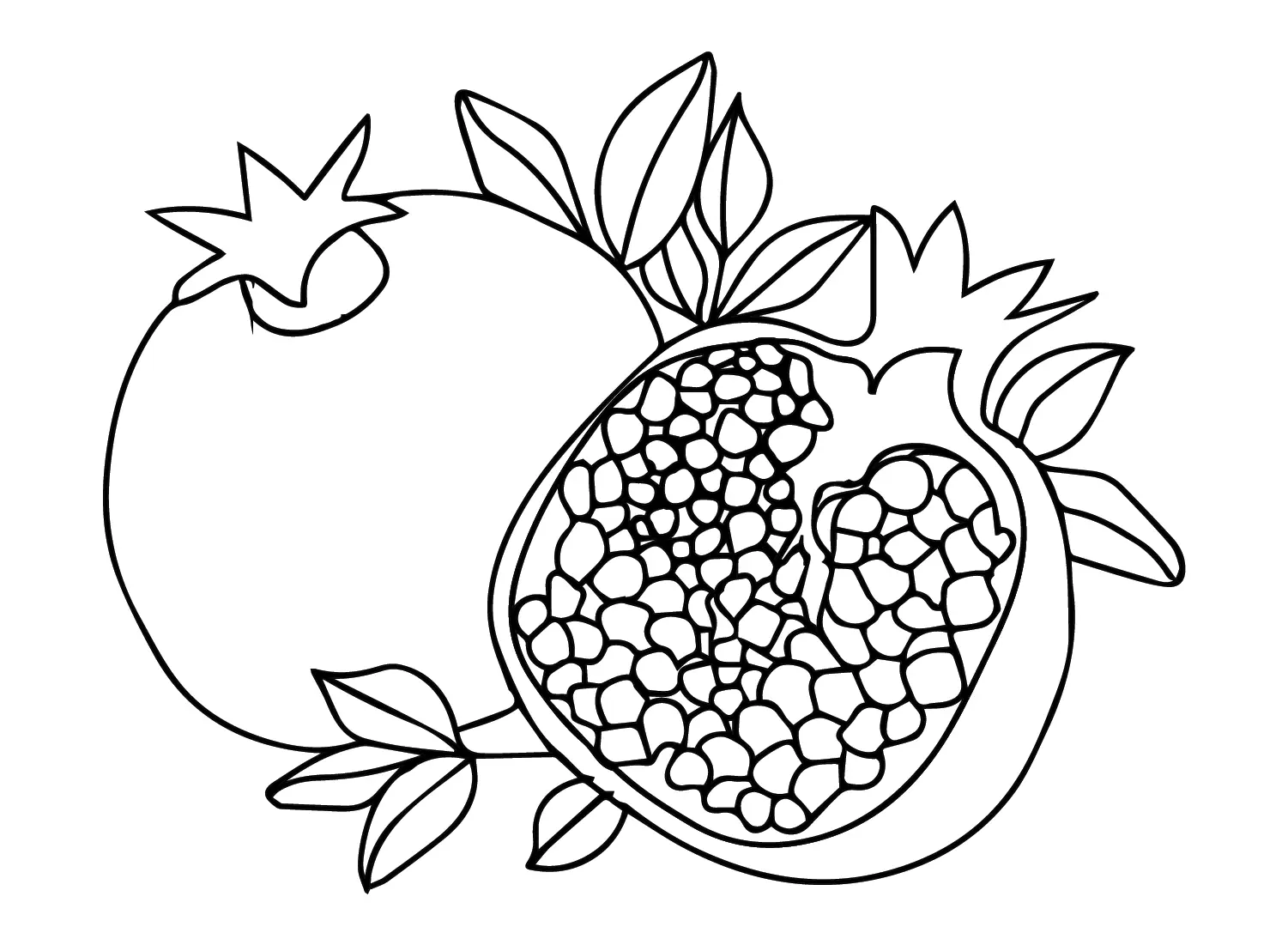 Pomegranate Coloring Pages