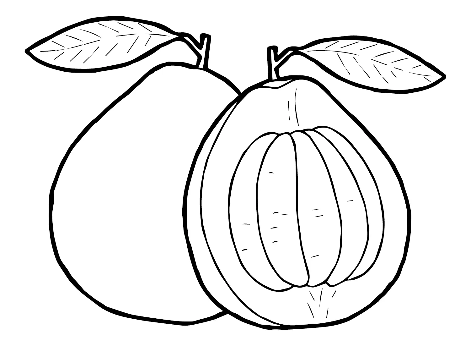 Pomelo Coloring Pages