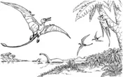 Pterodactyl Coloring Pages