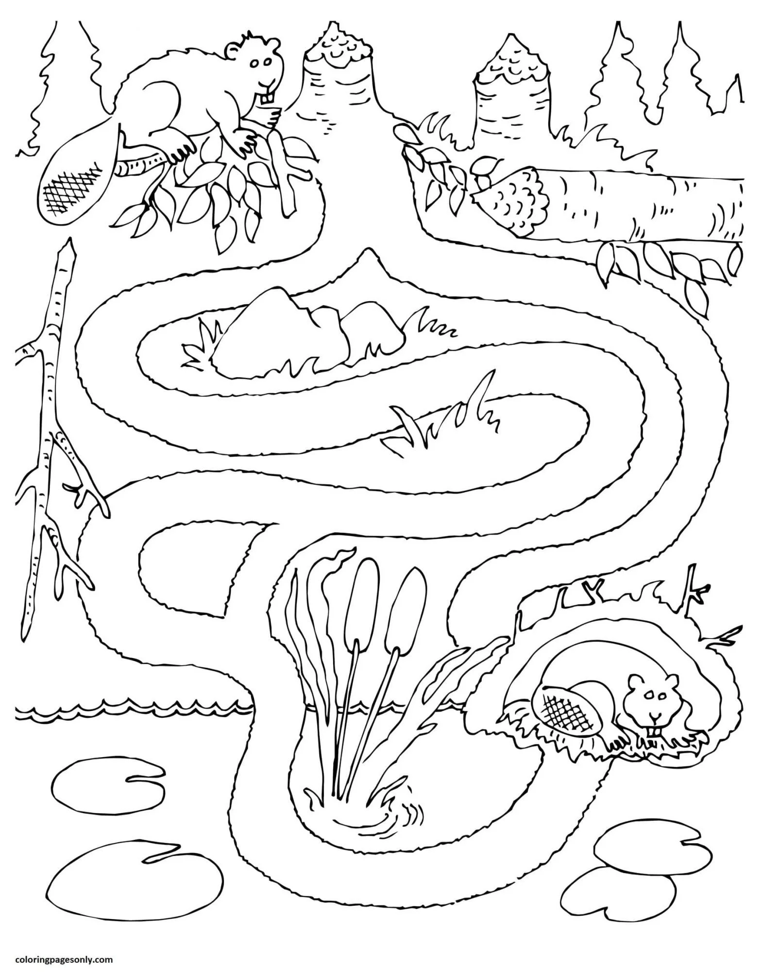 Rivers Coloring Pages