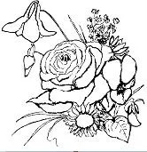 Roses Coloring Pages