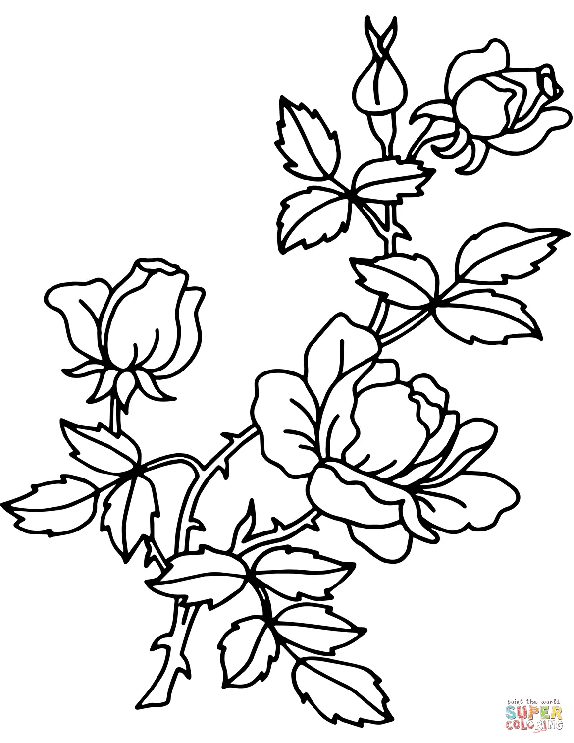 Roses Coloring Pages