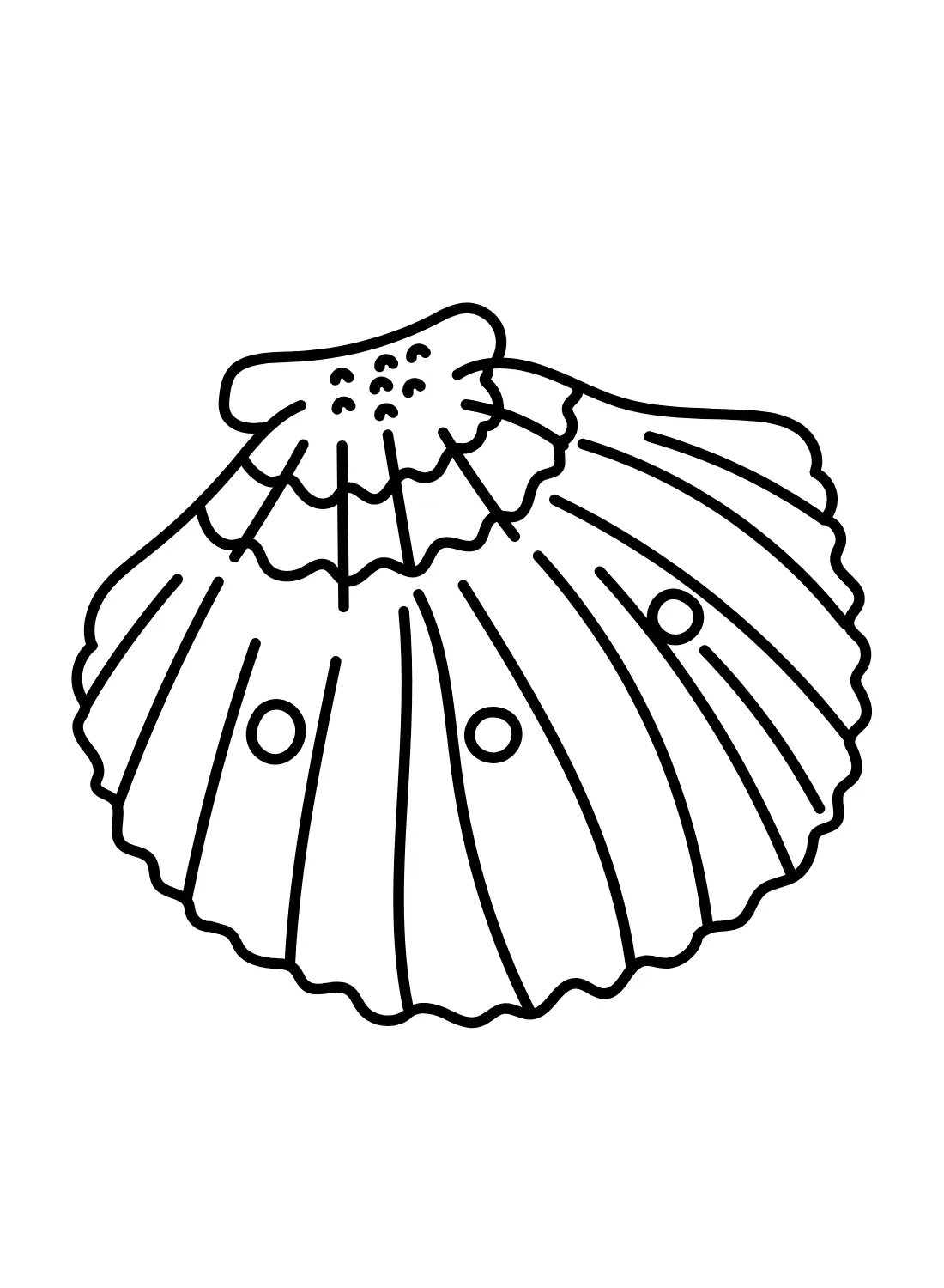 Scallop Coloring Pages