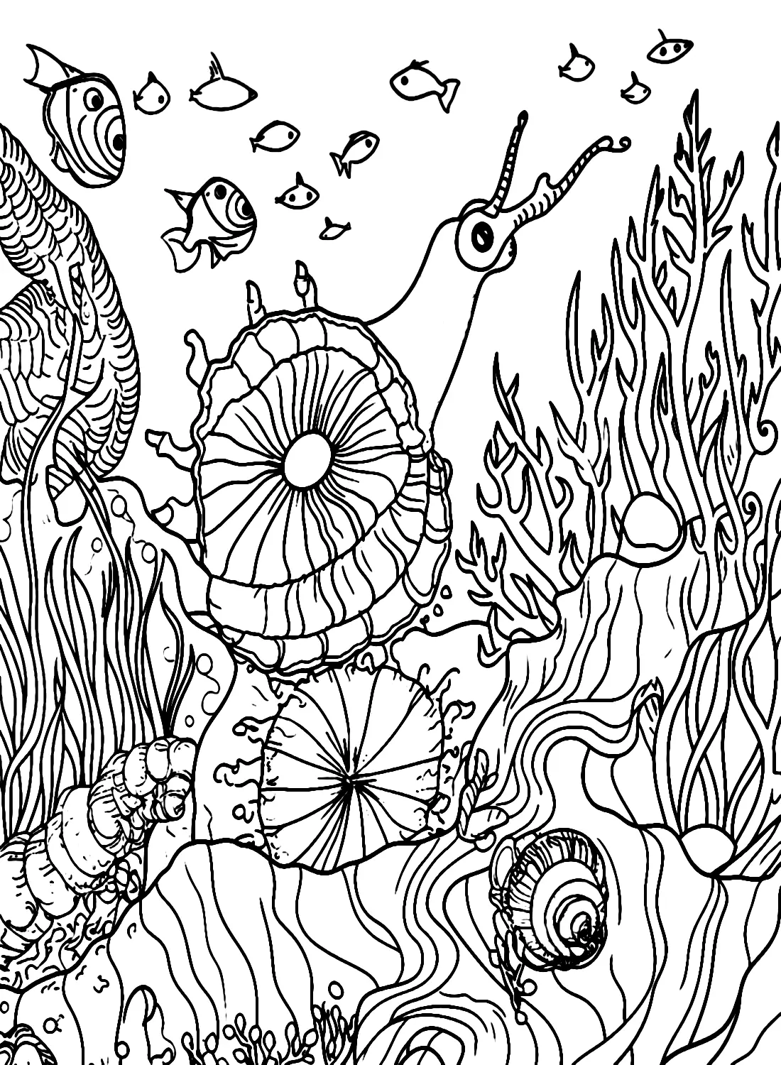 Sea Snail Coloring Pages