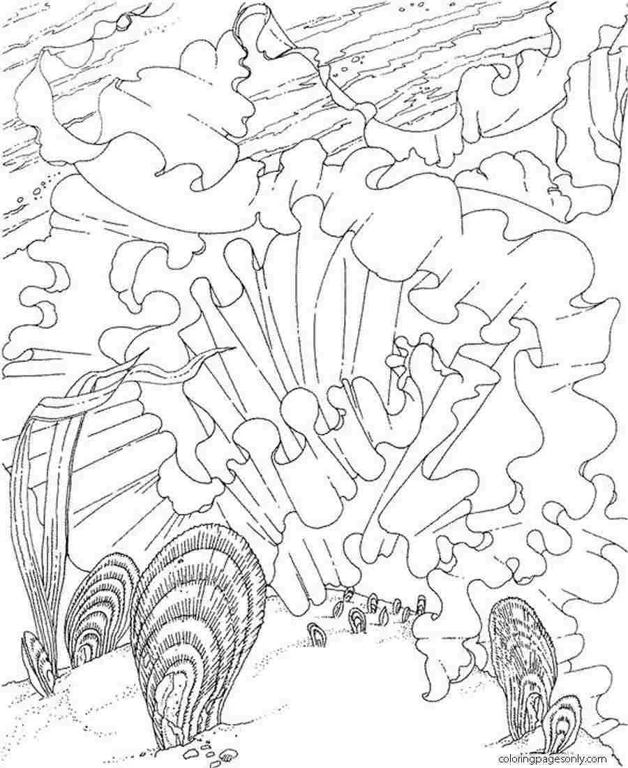 Seas and oceans Coloring Pages