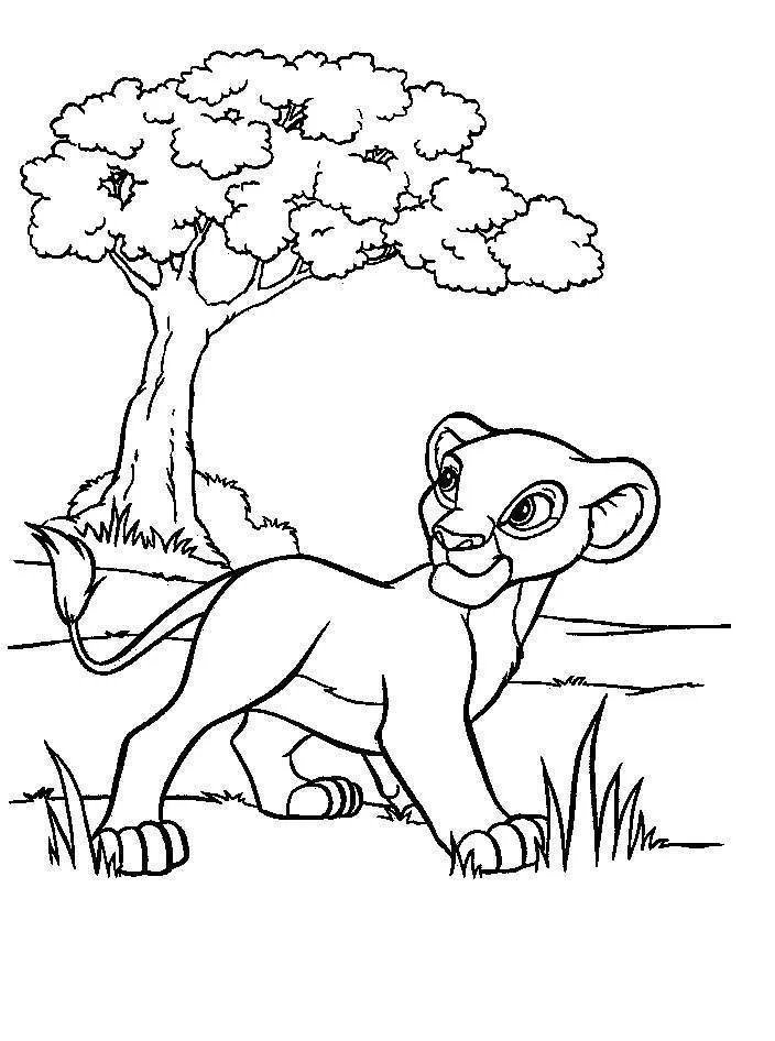 Simba Coloring Pages