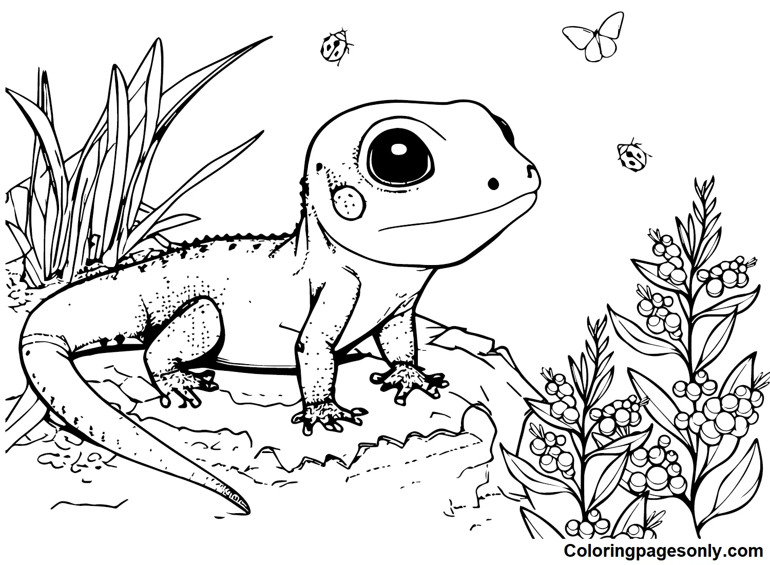 Skink Coloring Pages