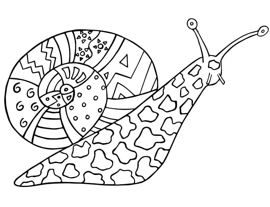 Snail Coloring Pages