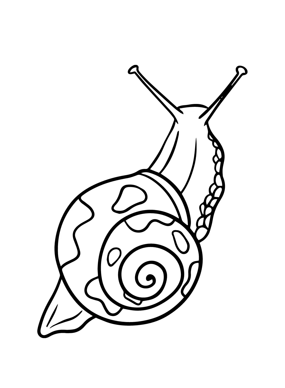 Snail Coloring Pages