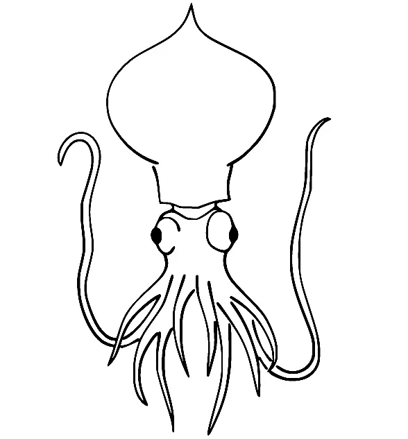 Squid Coloring Pages