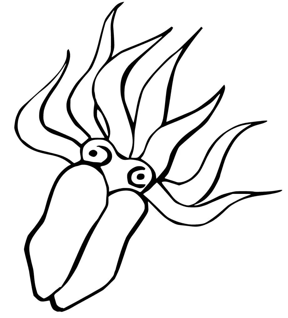 Squid Coloring Pages