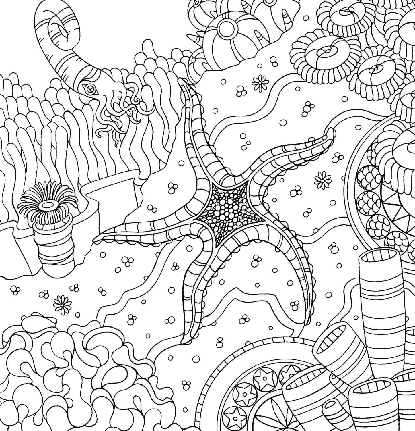 Starfish Coloring Pages