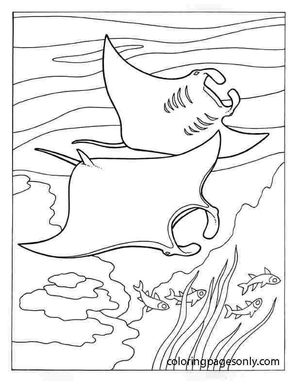 Stingray Coloring Pages