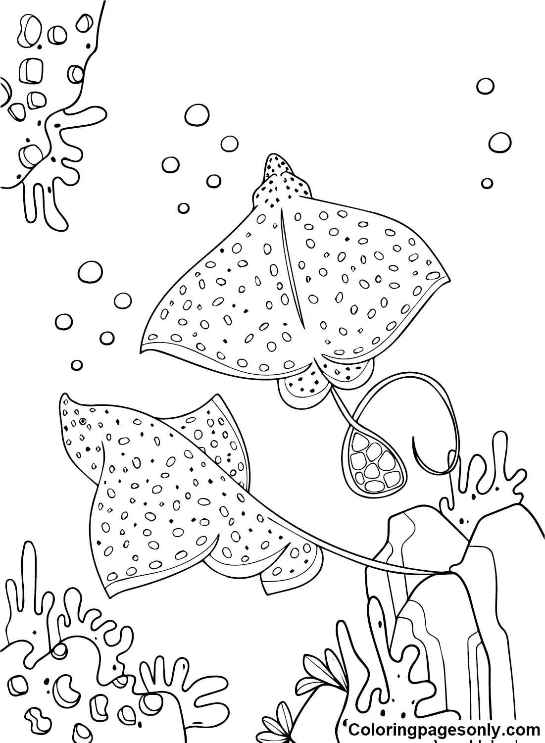 Stingray Coloring Pages