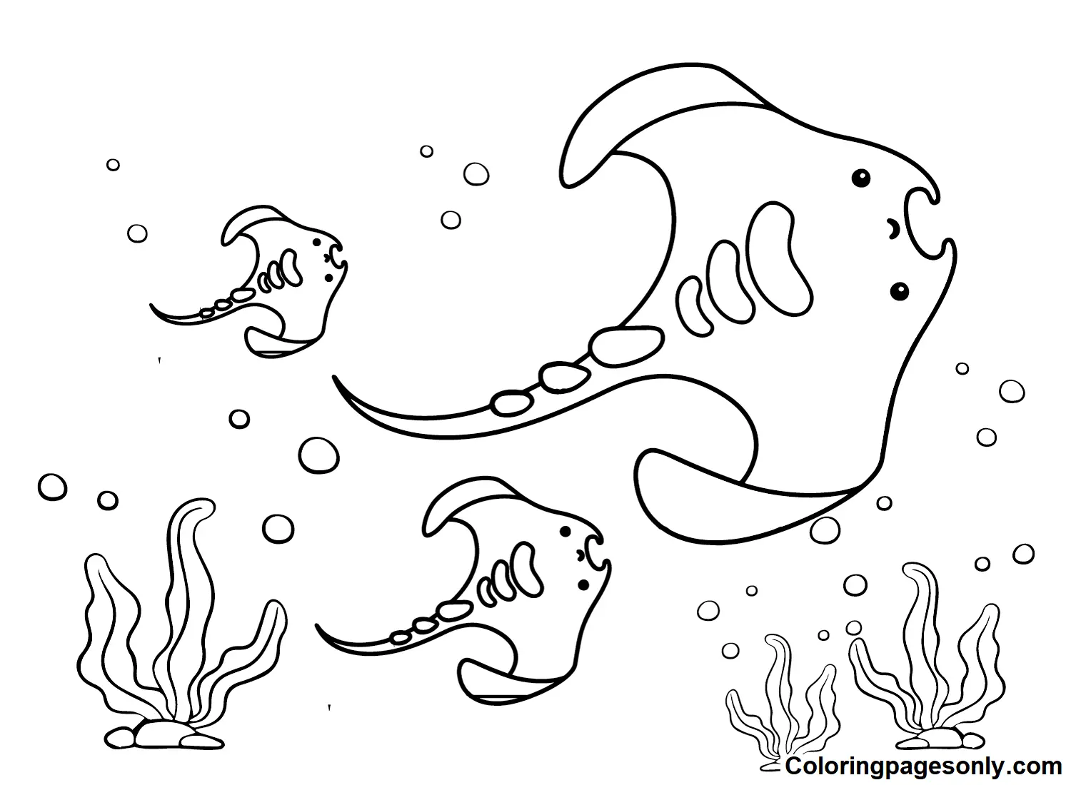 Stingray Coloring Pages