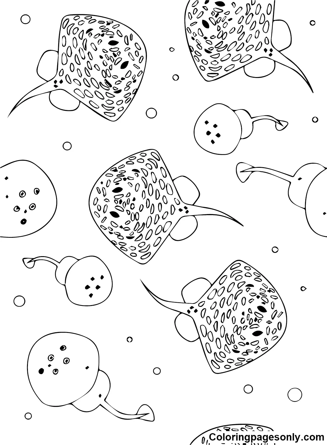 Stingray Coloring Pages