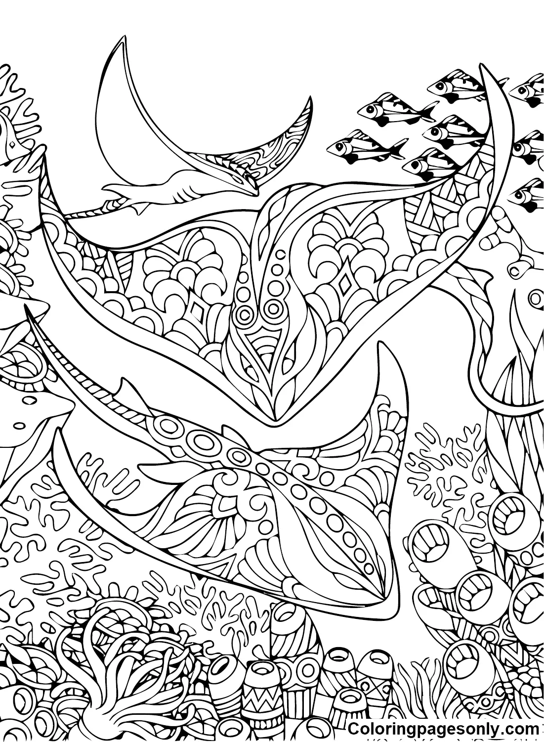 Stingray Coloring Pages