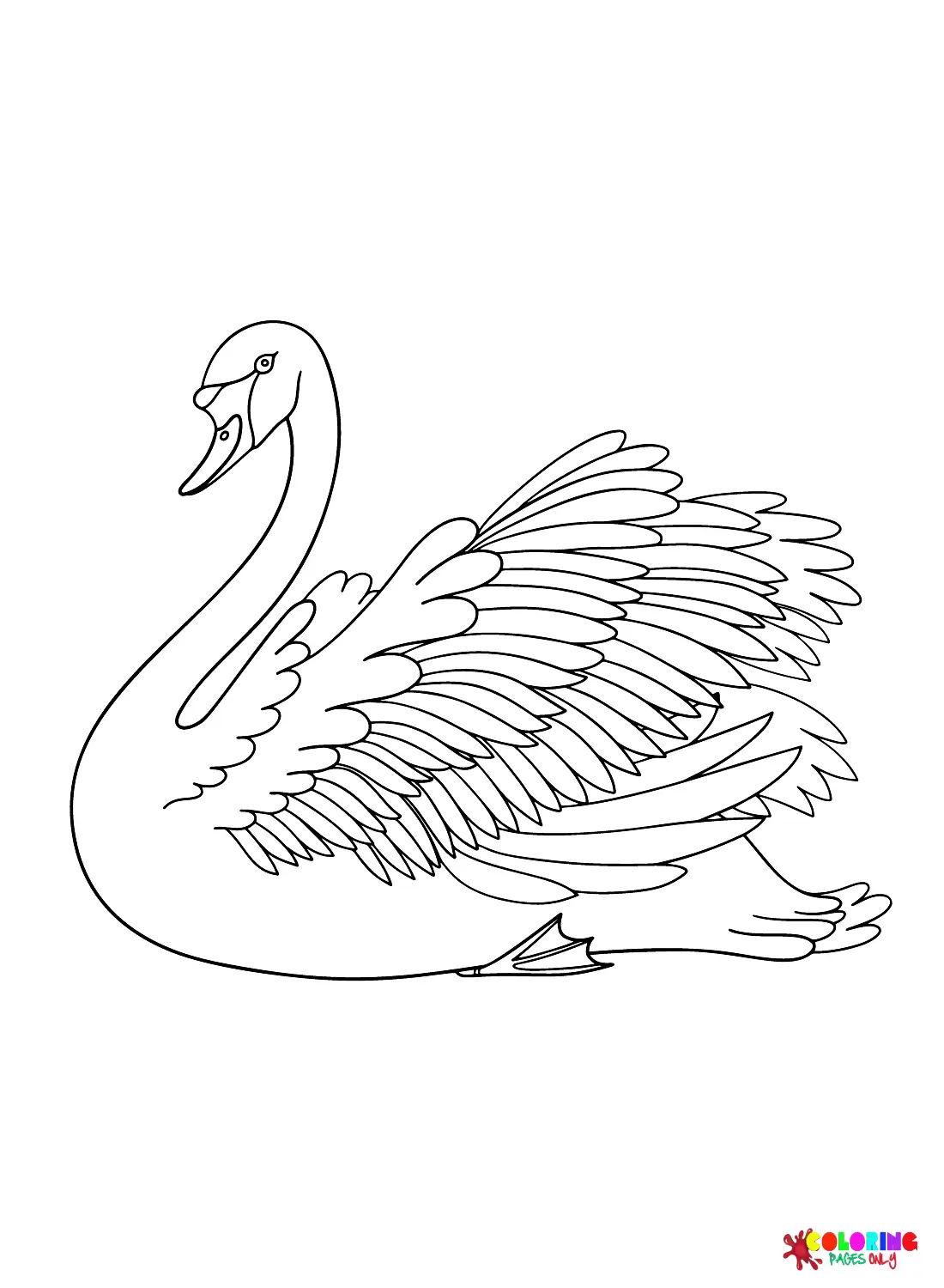 Swan Coloring Pages