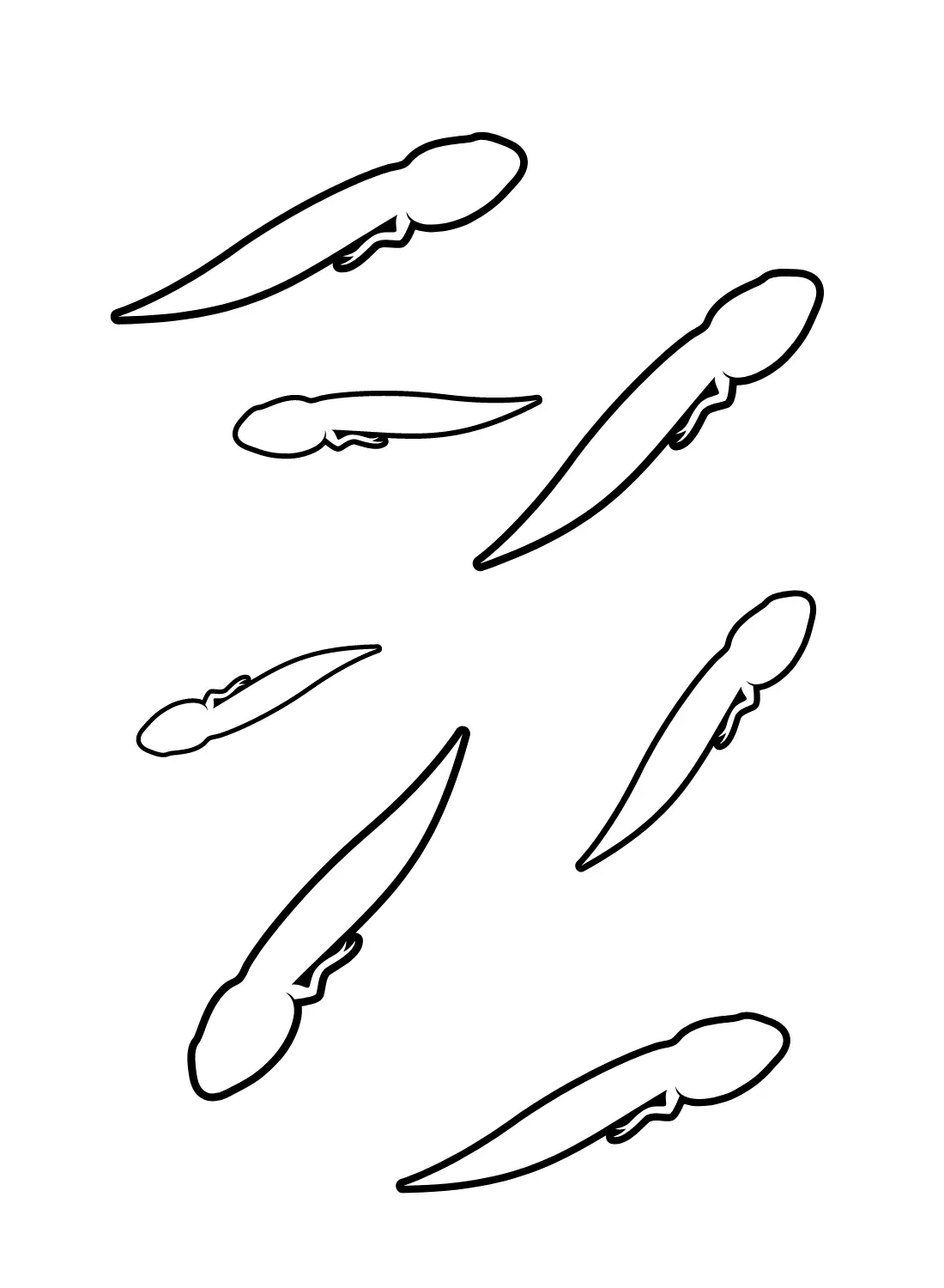 Tadpole Coloring Pages