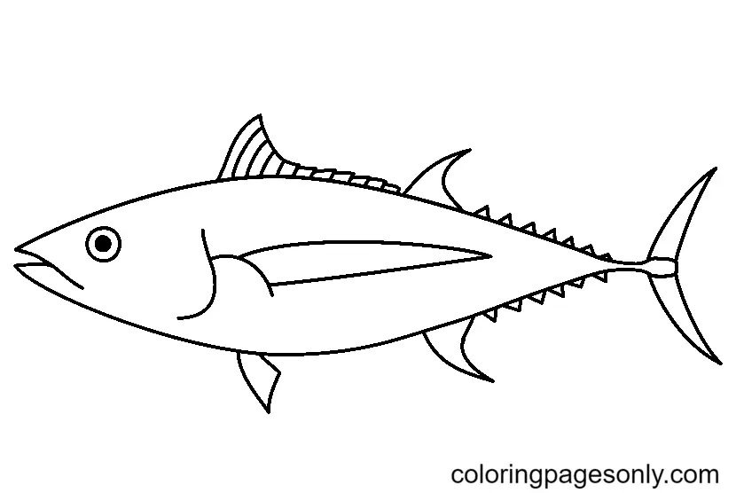 Tuna Coloring Pages