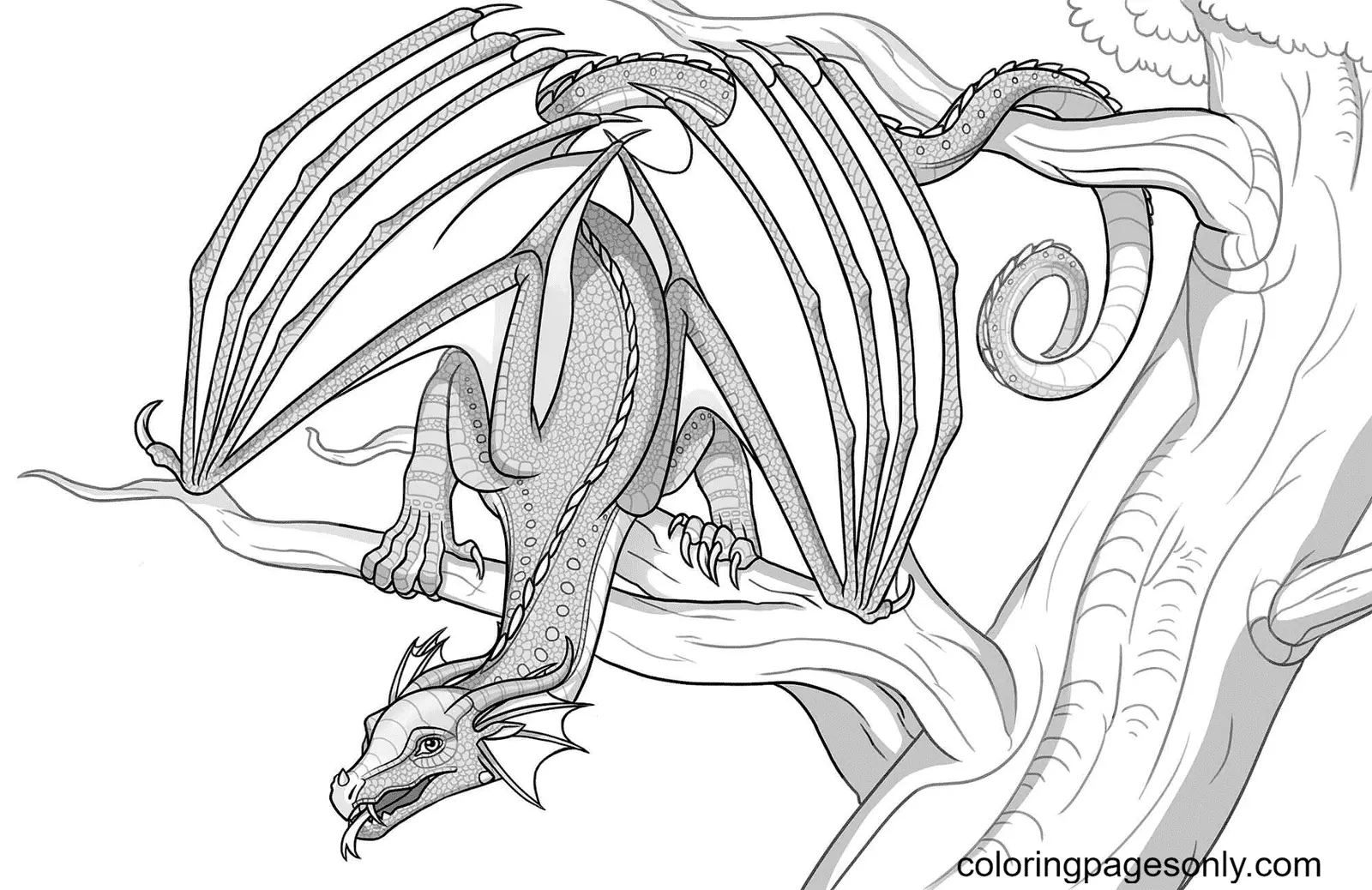 Wings Of Fire Coloring Pages