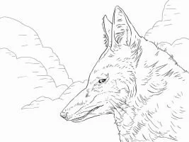 Wolf Coloring Pages