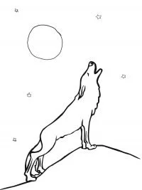 Wolf Coloring Pages