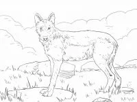 Wolf Coloring Pages