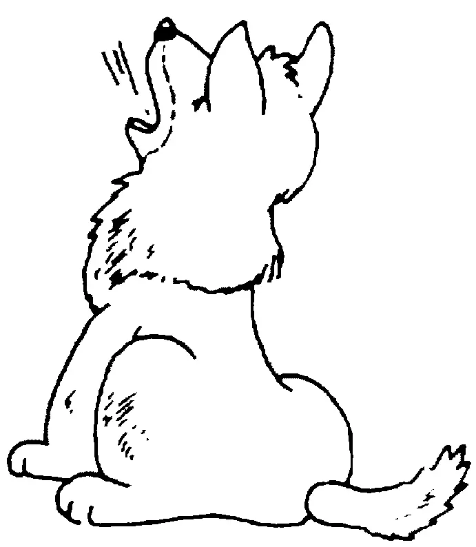 Wolf Coloring Pages