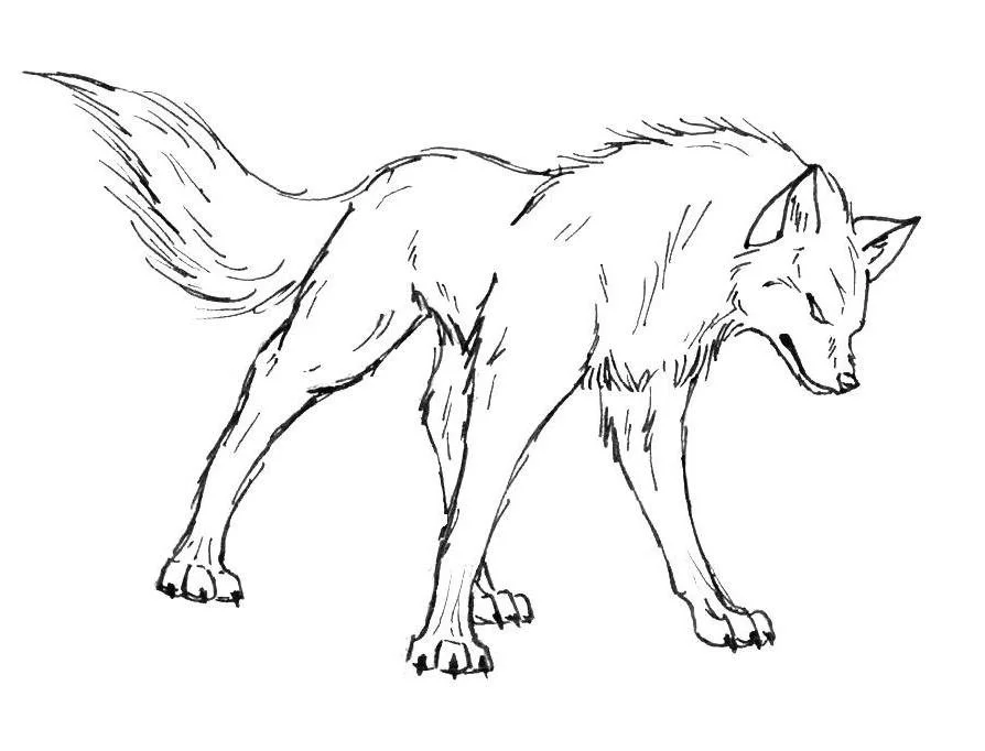 Wolf Coloring Pages