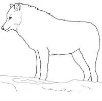 Wolf Coloring Pages