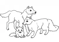 Wolf Coloring Pages