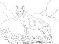 Wolf Coloring Pages