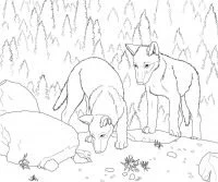 Wolf Coloring Pages