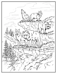 Wolf Coloring Pages