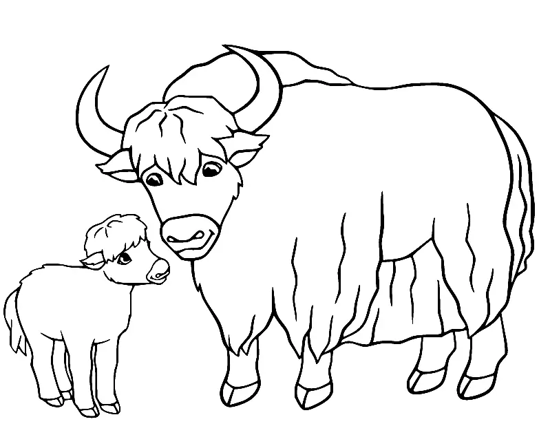 Yak Coloring Pages